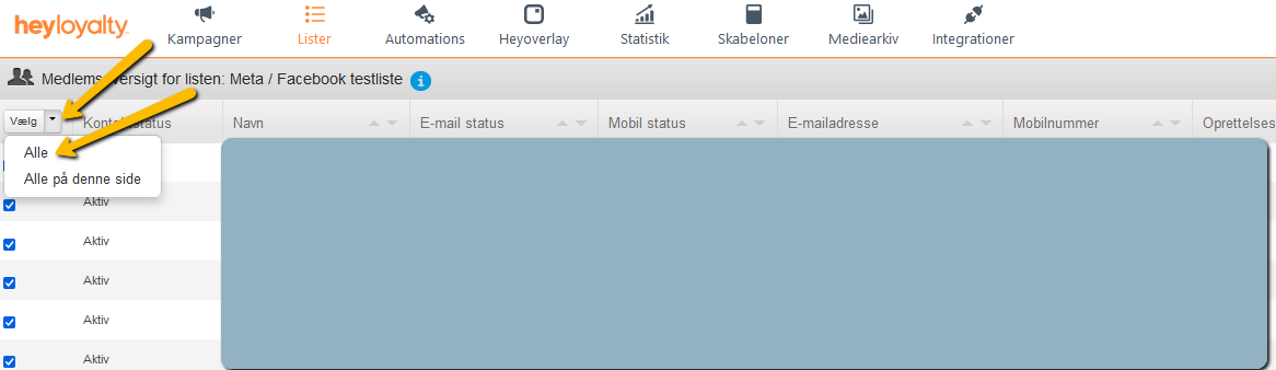 V_lg_alle_medlemmer.png